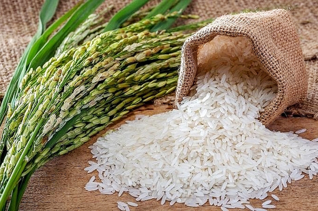 Hệ Sinh Thái Từ Một Hạt Gạo